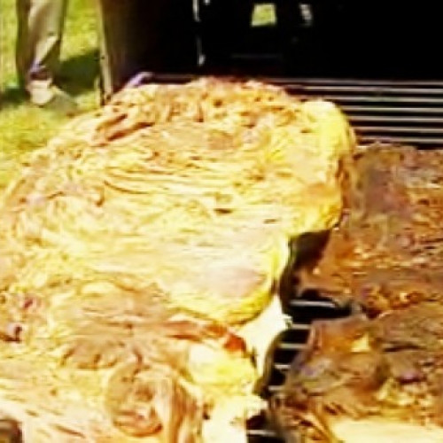 Asado con cuero