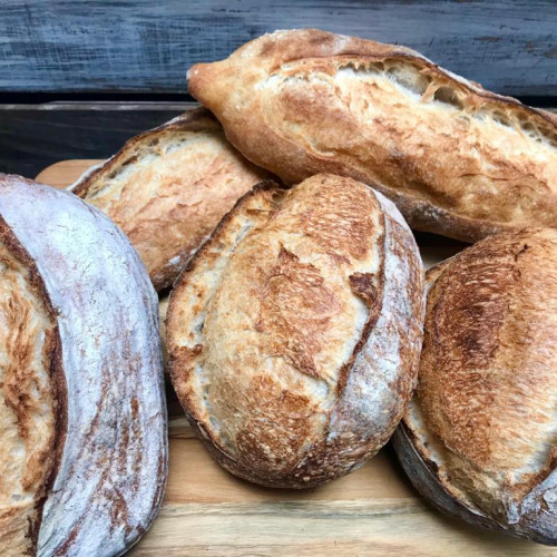 PANES DE MASA MADRE