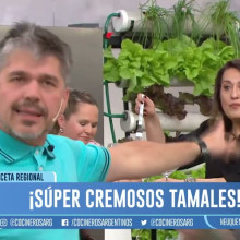 TAMALES