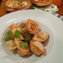 Wonton - raviolitos de cerdo